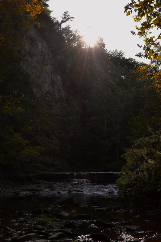 Evening Creek