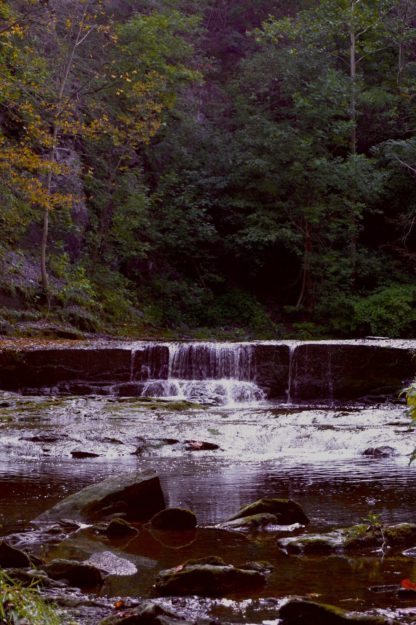 Mystical Waters