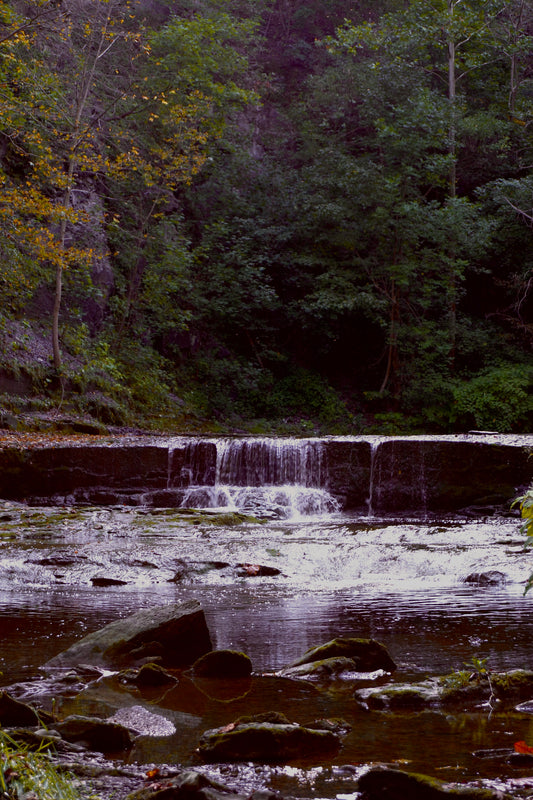 Mystical Waters